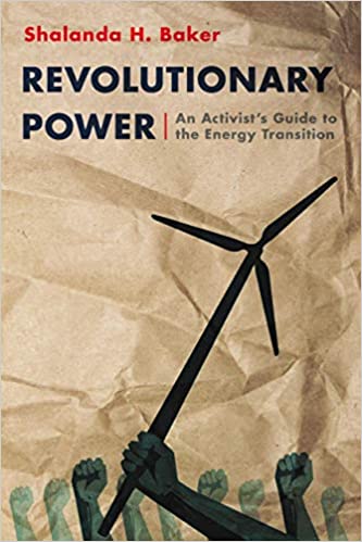 Book cover of Revolutionary Power