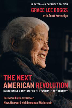Book cover of The Next American Revolution: Sustainable Activism for the Twenty-First Century