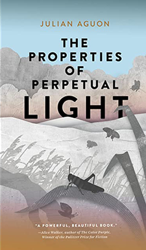 Book cover of The Properties of Perpetual Light