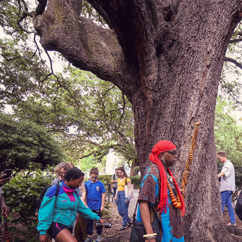 Group of people walking next to a large tree