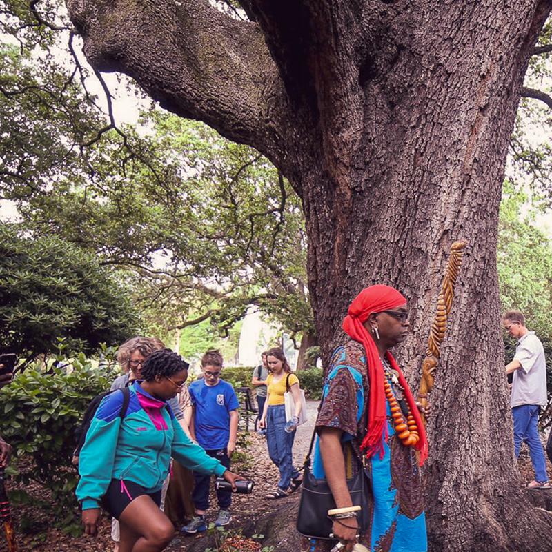 A group of people moving about next to a large tree