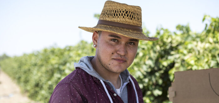 The following image shows a migrant farm worker in a wide brim hat and burgundy sweater in the fields