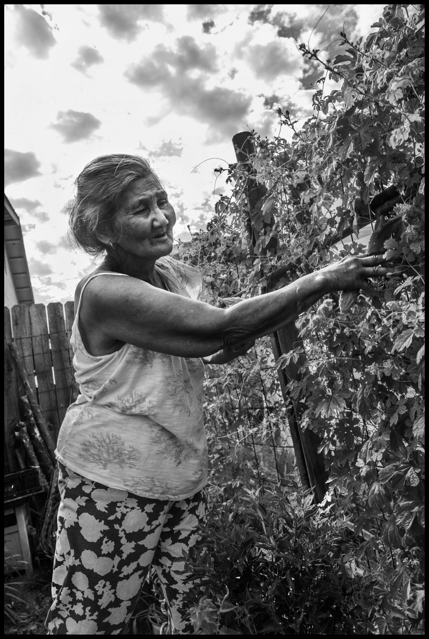 Who-and-What-Are-Climate-Refugees-woman-tending-to-vines