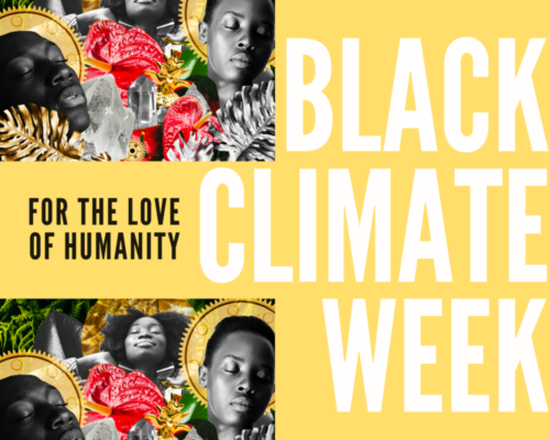 Black Climate Week graphic, yellow background with Intelligent Mischief art and 