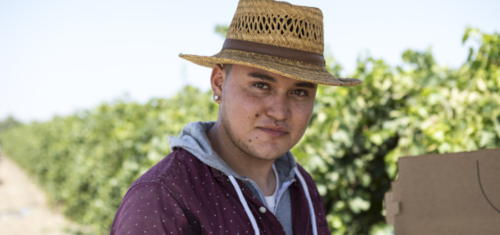 A man in a hat in a crop field