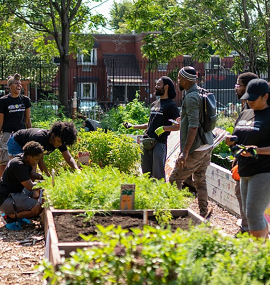 young adults gardening in the city